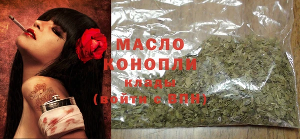 гидра Карпинск